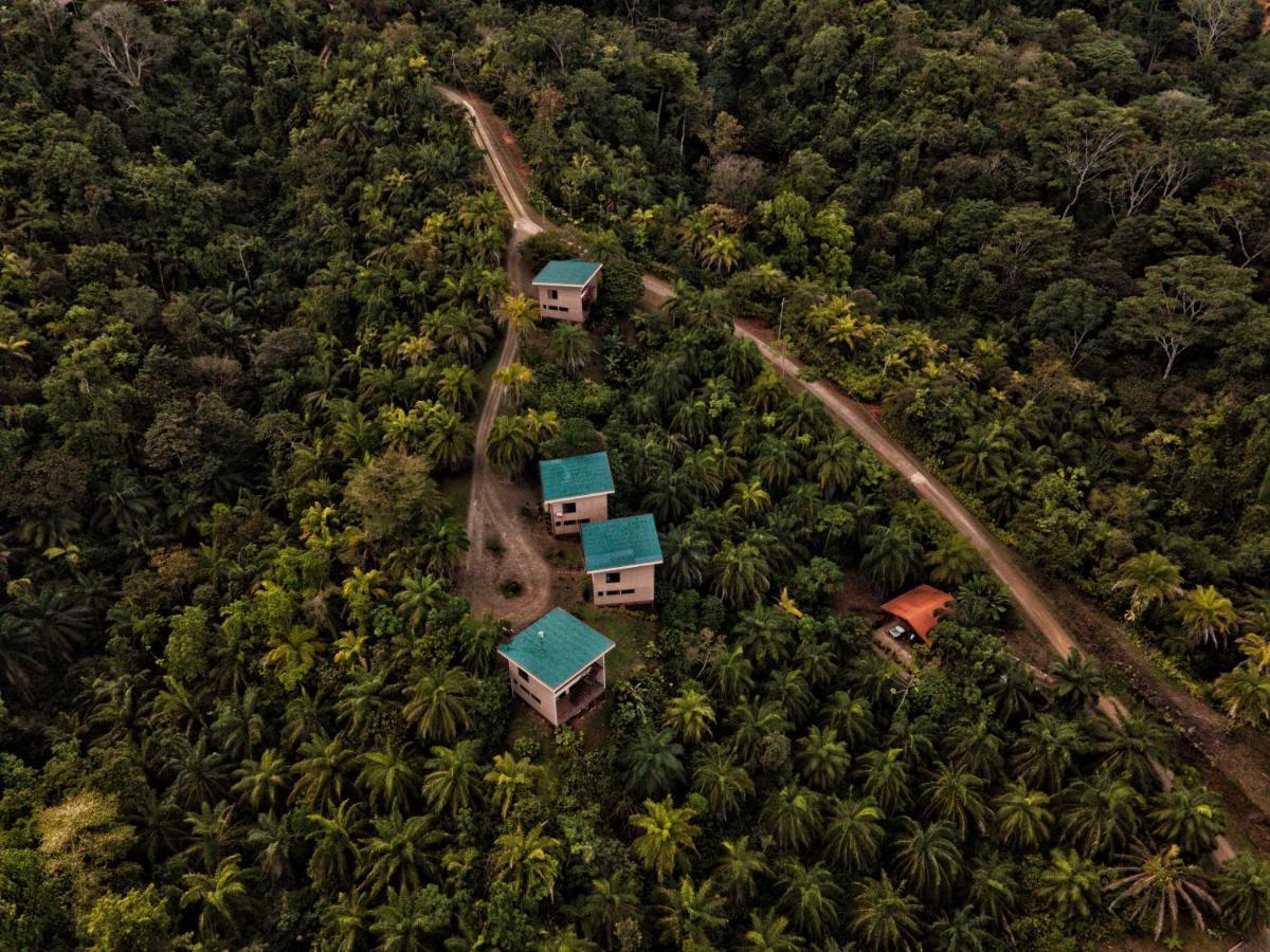 Corcovado Private Villas - Avatar Private Reserve Puerto Jiménez Esterno foto