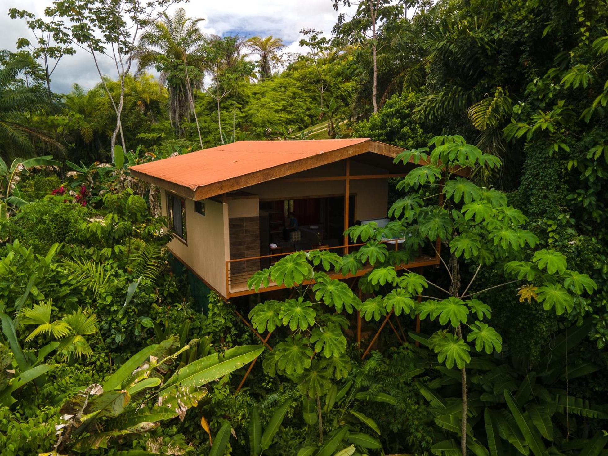 Corcovado Private Villas - Avatar Private Reserve Puerto Jiménez Esterno foto