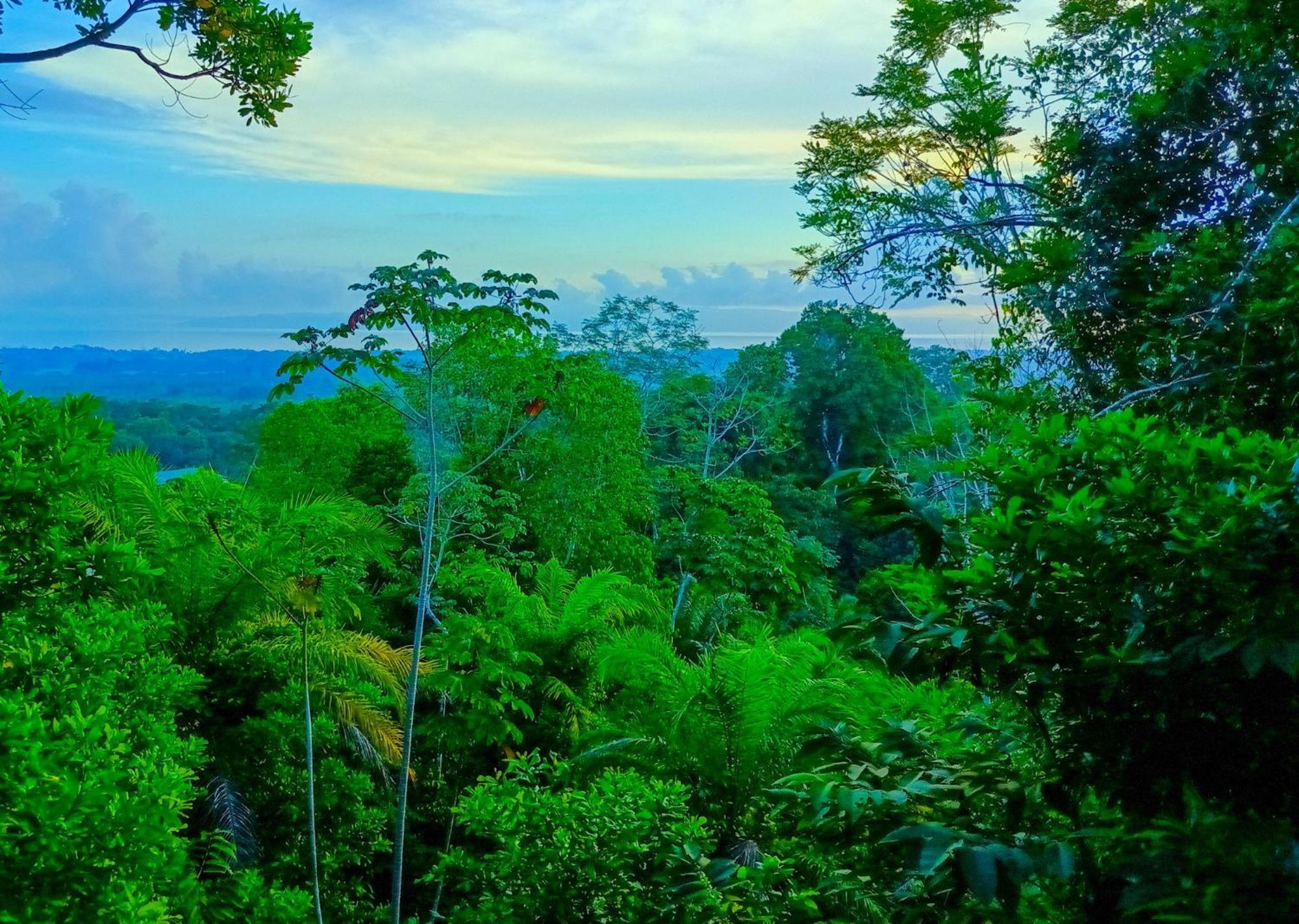 Corcovado Private Villas - Avatar Private Reserve Puerto Jiménez Esterno foto