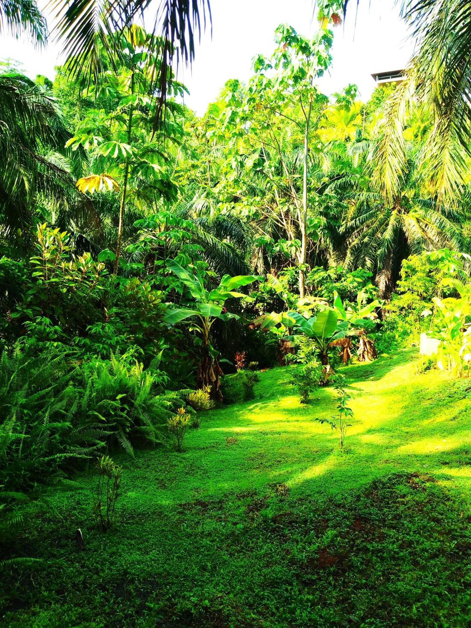 Corcovado Private Villas - Avatar Private Reserve Puerto Jiménez Esterno foto