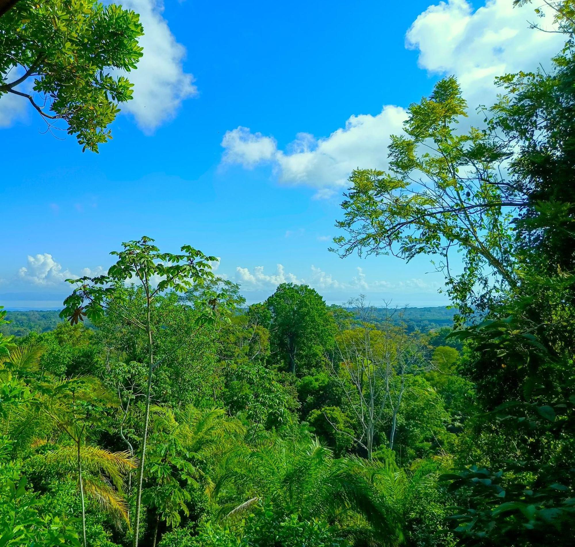 Corcovado Private Villas - Avatar Private Reserve Puerto Jiménez Esterno foto