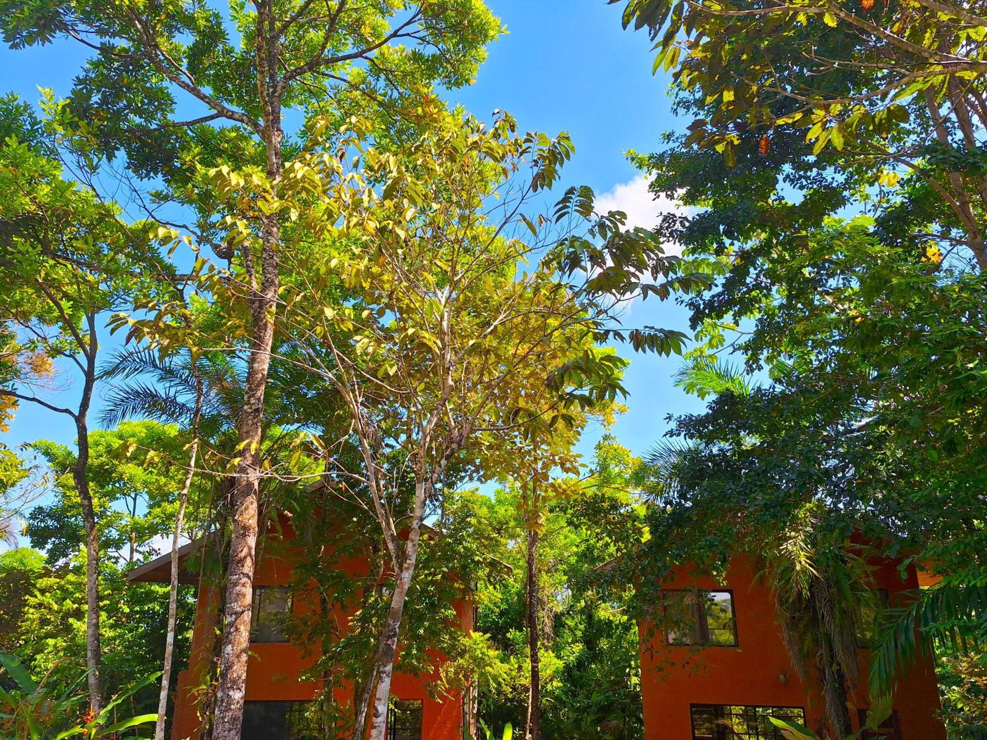 Corcovado Private Villas - Avatar Private Reserve Puerto Jiménez Esterno foto